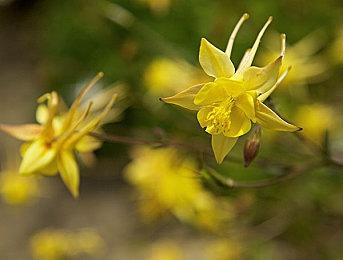 动视开通Steam发行商页面 多款游戏回归